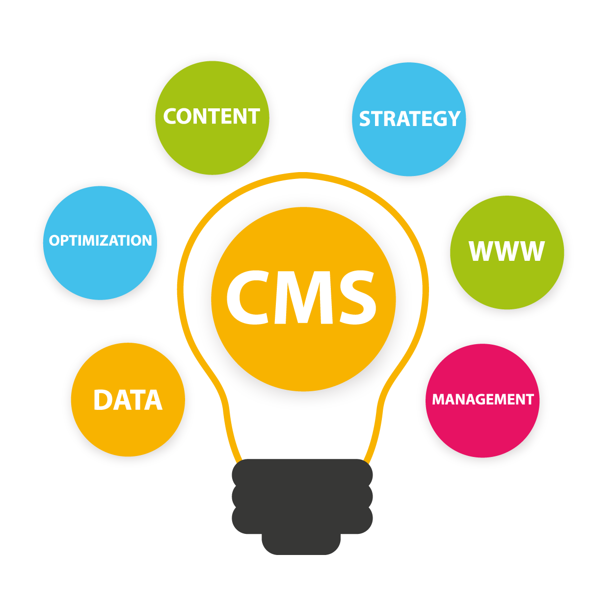 CMS projectweb